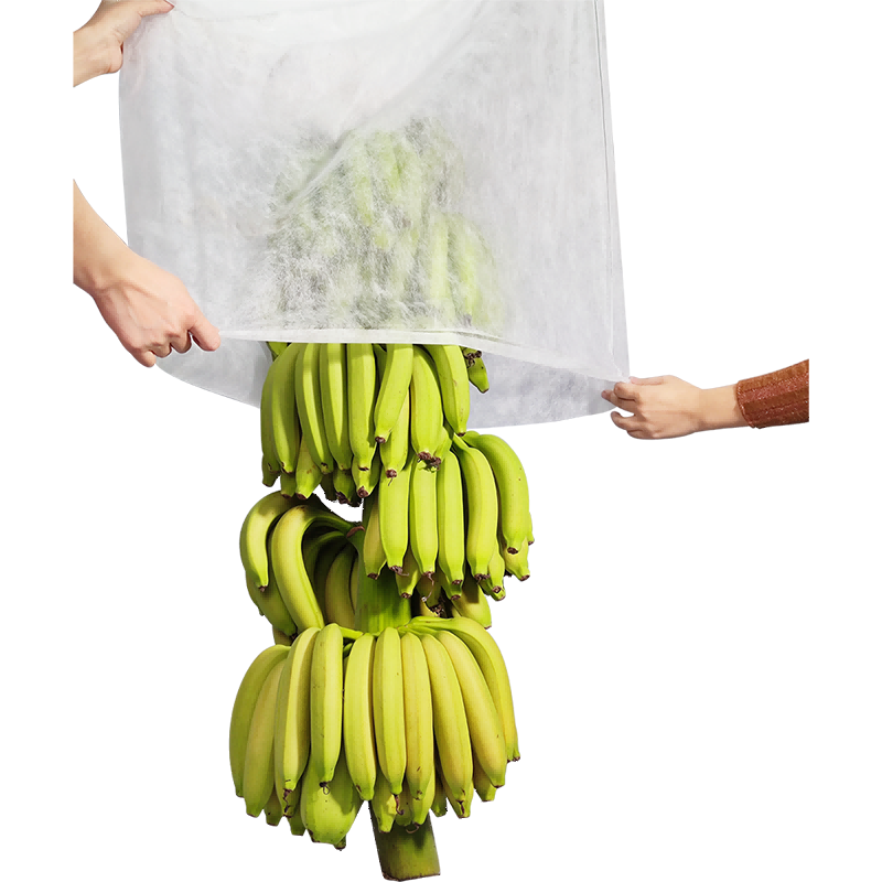 Kain tumbuhan yang tidak ditutup kain pisang taman
