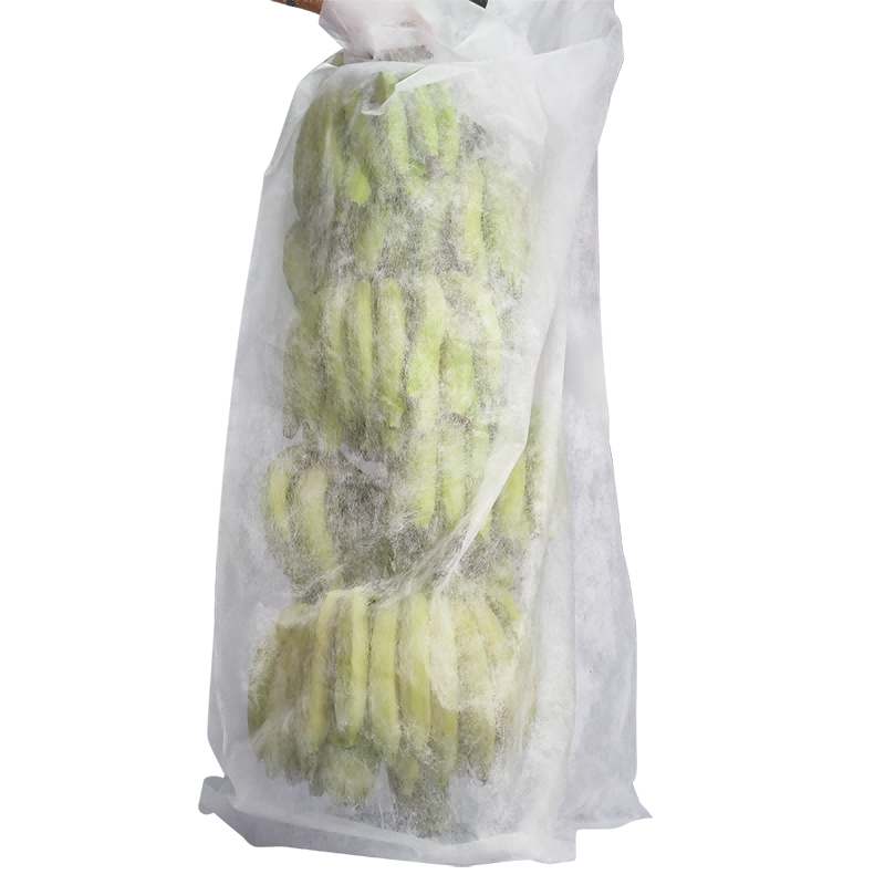 Kain tumbuhan yang tidak ditutup kain pisang taman